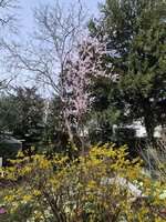 20250321_125714.jpg