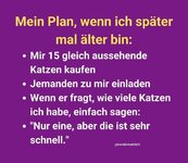 katzen.jpg