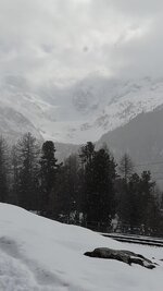 WhatsApp Bild 2025-03-23 um 15.55.36_7ed4dbb4.jpg