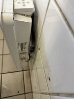 IMG_9886.jpeg