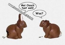 IMG_8232.jpeg