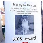 1743063647184.jpeg
