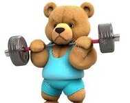 Niedlicher athletischer Teddybär Gym PNG-Transparente Tier Clipart für  Kinder / Erwachsene Cartoon-Design, druckbare Sublimation, kommerzielle  Nutzung, Clip Art - Etsy.de