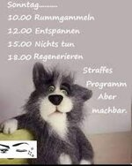 images (1) (13).jpeg