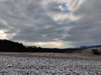 IMG_20250215_155913.jpg