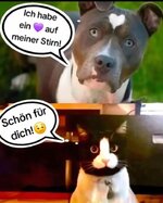 IMG_8253.jpeg