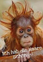 images (1) (14).jpeg