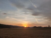 IMG_20250308_174449.jpg