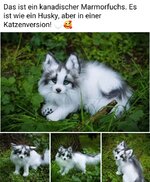 Screenshot_20250401_092609_com_facebook_lite_MainActivity_edit_1416274136662336.jpg Screenshot_20250401_092609_com_facebook_lite_MainActivity_edit_1416274136662336.jpg