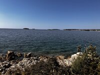 IMG_2632.jpeg