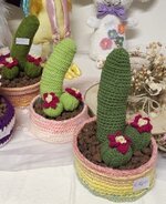 1000099007.jpg 1000099007.jpg