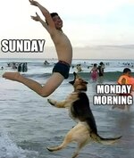 FB_IMG_1742313879626.jpg