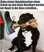 Screenshot 2025-04-04 201220.png