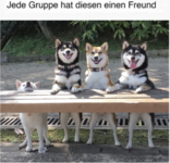 Jede Gruppe hat einen Bildschirmfoto 2025-04-08 um 14.14.59.png