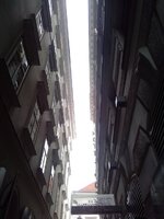 IMG_20250410_113102.jpg