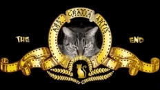 Guten Morgen Cat.gif