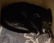 2024-02-26 19.30.05.jpg