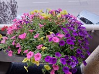 20240622_200943.jpg