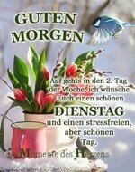 1744700314275.jpeg 1744700314275.jpeg