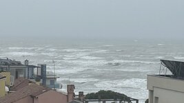 IMG_7539.jpeg IMG_7539.jpeg