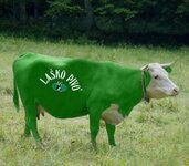 Lasko Bivo.jpg
