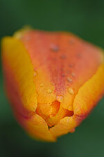 DSC_3151.jpg