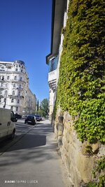 IMG_20250419_090504.jpg