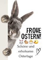 IMG_3800.jpeg IMG_3800.jpeg