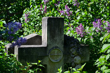 DSC_3830.jpg