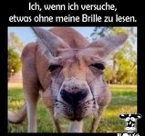 brille.jpg