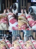 IMG_20250421_184522.jpg IMG_20250421_184522.jpg