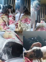 IMG_20250421_184659.jpg IMG_20250421_184659.jpg