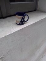 IMG_20250423_071459.jpg