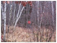 20111126_1.jpg