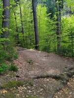 IMG_20250420_121408.jpg
