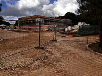 IMG_2772.jpeg