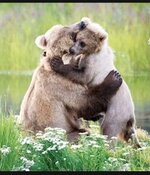 Screenshot_20250409_204451_com_brave_browser_ChromeTabbedActivity.jpg