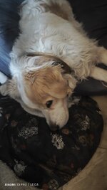 IMG_20250426_082756.jpg IMG_20250426_082756.jpg