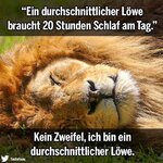 durchschnittlicherLoewe.jpg