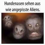 FB_IMG_1744989864716.jpg