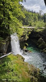 IMG_20250426_135120.jpg