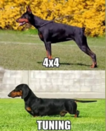 Screenshot 2025-04-26 185303.png