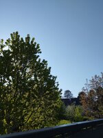 IMG_20250427_173745.jpg
