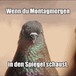 1000035579.gif