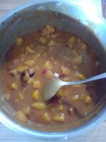 IMG_20250428_194042.jpg