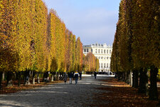 DSC_6132.jpg
