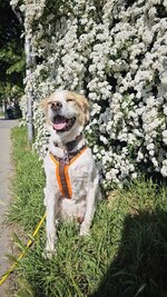 IMG_20250429_094044.jpg IMG_20250429_094044.jpg