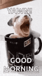 1000035746.gif