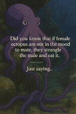 FB_IMG_1745865289958.jpg FB_IMG_1745865289958.jpg