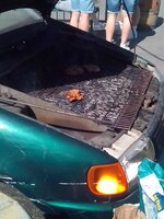 IMG_20250501_103816.jpg